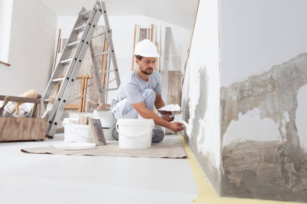 Best Mold Remediation for Rental Properties  in Wayland, IA